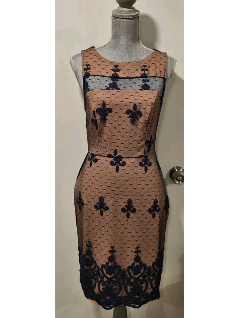 Eva Franco Size 6 Fleur De Lis Afton Dress Blue Lace Lined - Picture 1 of 11